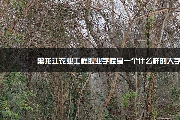 黑龙江农业工程职业学院是一个什么样的大学？2020年黑龙江农业工程职业学院介绍