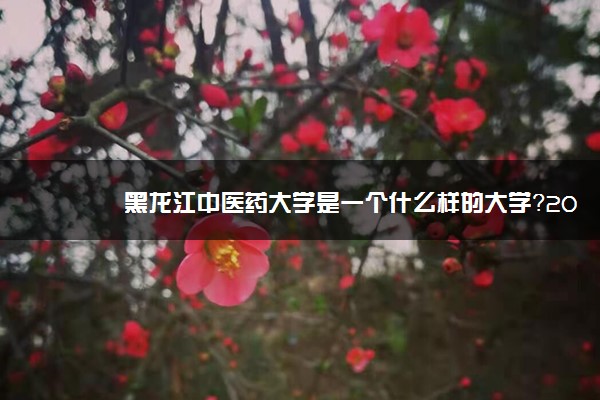 黑龙江中医药大学是一个什么样的大学？2020年黑龙江中医药大学介绍