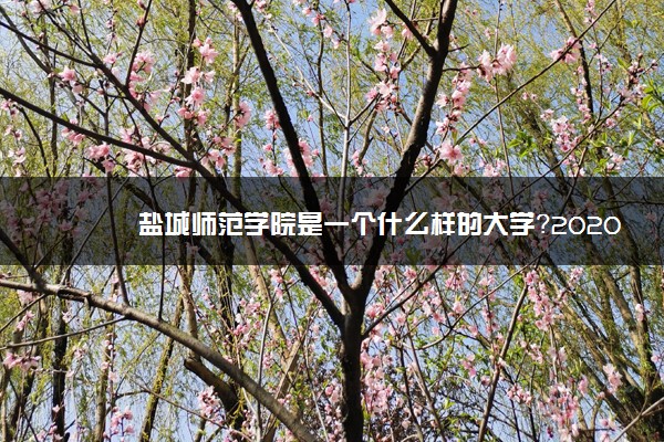 盐城师范学院是一个什么样的大学？2020年盐城师范学院介绍