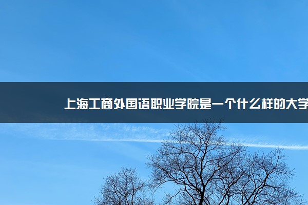 上海工商外国语职业学院是一个什么样的大学？2020年上海工商外国语职业学院介绍
