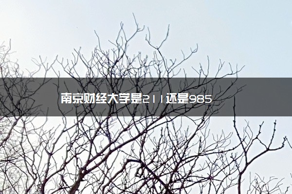 南京财经大学是211还是985