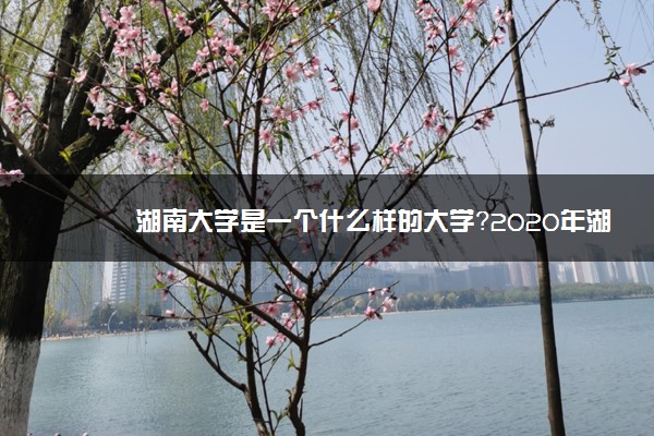 湖南大学是一个什么样的大学？2020年湖南大学介绍