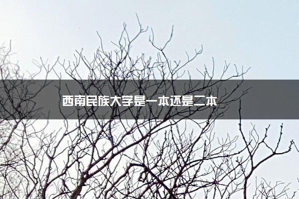 西南民族大学是一本还是二本