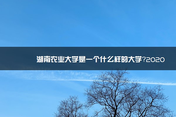 湖南农业大学是一个什么样的大学？2020年湖南农业大学介绍