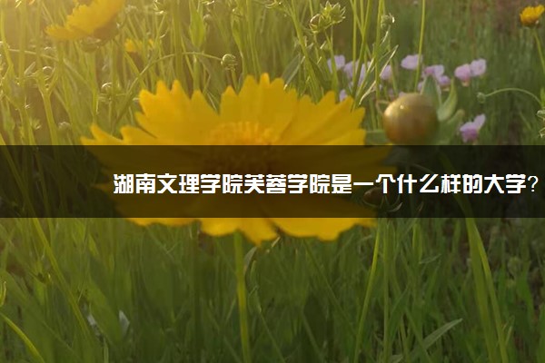 湖南文理学院芙蓉学院是一个什么样的大学？2020年湖南文理学院芙蓉学院介绍