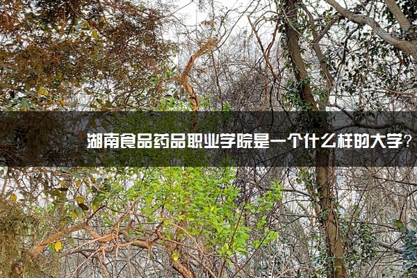 湖南食品药品职业学院是一个什么样的大学？2020年湖南食品药品职业学院介绍