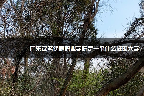 广东茂名健康职业学院是一个什么样的大学？2020年广东茂名健康职业学院介绍