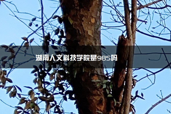 湖南人文科技学院是985吗