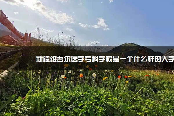 新疆维吾尔医学专科学校是一个什么样的大学？2020年新疆维吾尔医学专科学校介绍