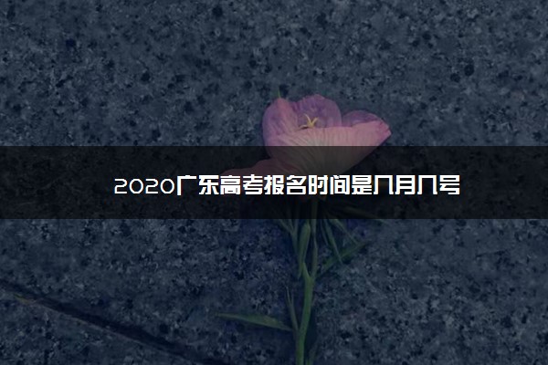 2020广东高考报名时间是几月几号