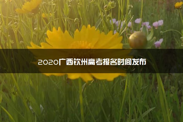 2020广西钦州高考报名时间发布