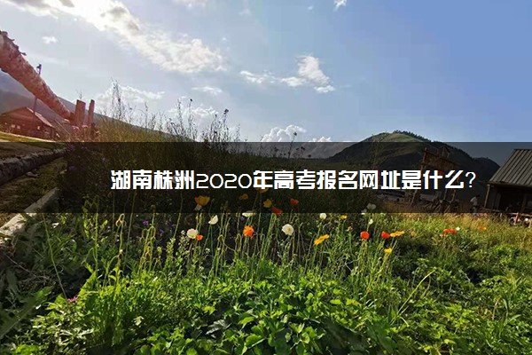 湖南株洲2020年高考报名网址是什么？