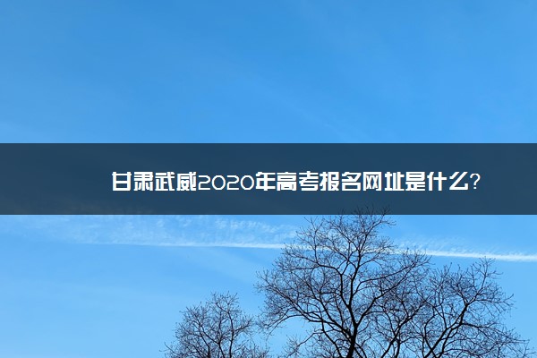 甘肃武威2020年高考报名网址是什么？