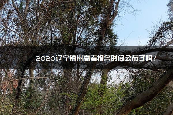 2020辽宁锦州高考报名时间公布了吗？