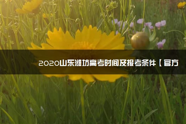2020山东潍坊高考时间及报考条件【官方发布】