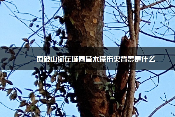 国破山河在城春草木深历史背景是什么