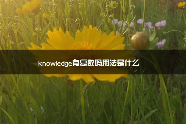 knowledge有复数吗用法是什么