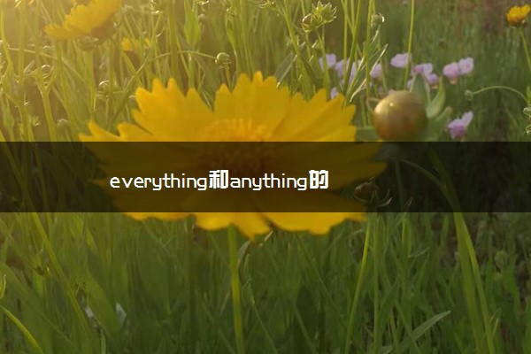 everything和anything的区别是什么