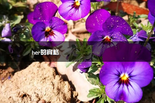 her的宾格