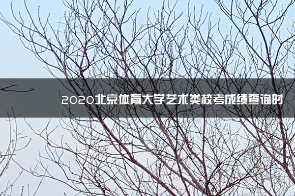 2020北京体育大学艺术类校考成绩查询时间