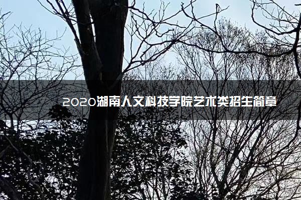 2020湖南人文科技学院艺术类招生简章