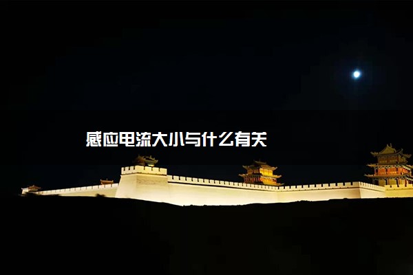 感应电流大小与什么有关