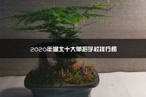 2020年湖北十大单招学校排行榜