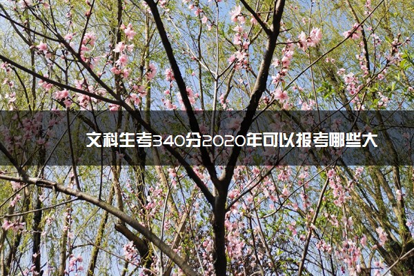 文科生考340分2020年可以报考哪些大学