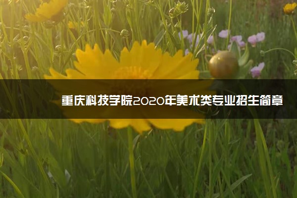 重庆科技学院2020年美术类专业招生简章