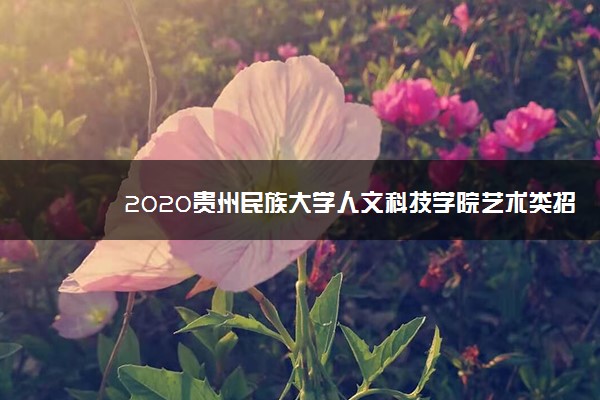 2020贵州民族大学人文科技学院艺术类招生简章