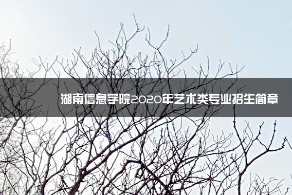 湖南信息学院2020年艺术类专业招生简章