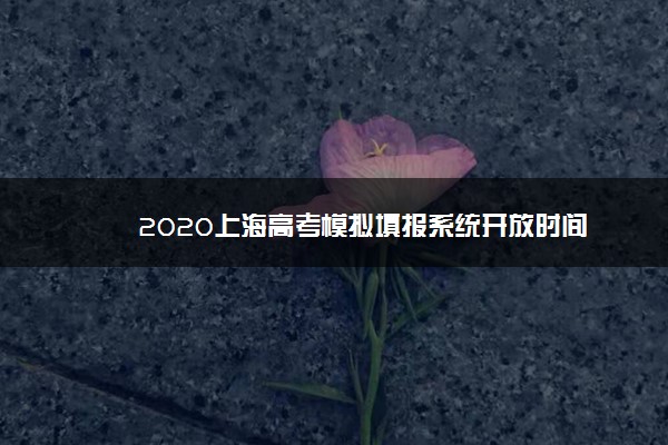 2020上海高考模拟填报系统开放时间