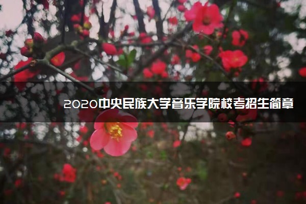 2020中央民族大学音乐学院校考招生简章