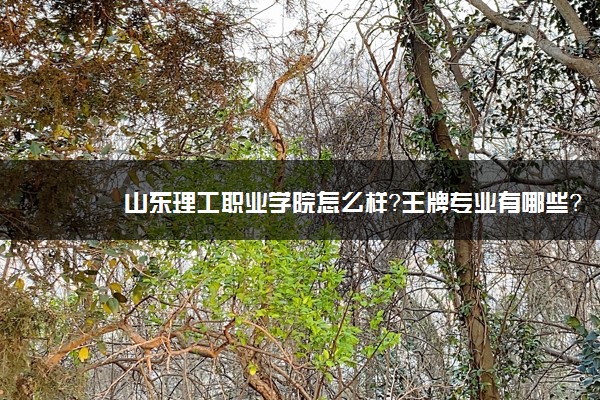 山东理工职业学院怎么样？王牌专业有哪些？