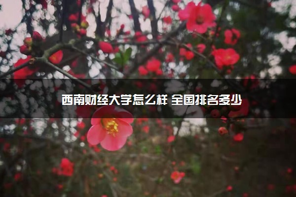 西南财经大学怎么样 全国排名多少