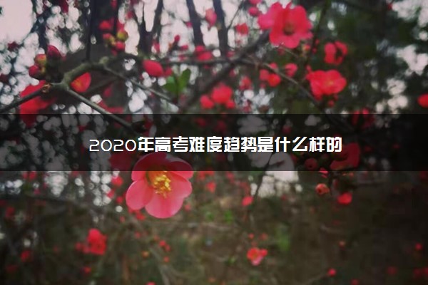 2020年高考难度趋势是什么样的