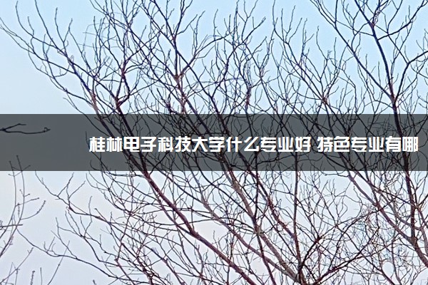 桂林电子科技大学什么专业好 特色专业有哪些