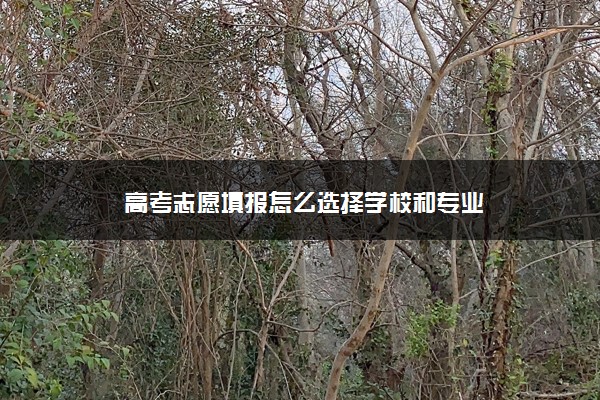 高考志愿填报怎么选择学校和专业