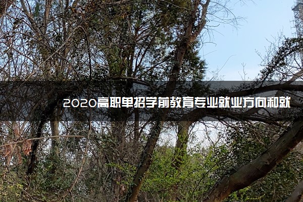 2020高职单招学前教育专业就业方向和就业前景