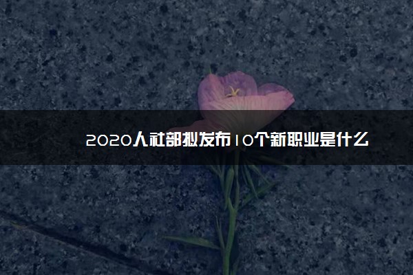 2020人社部拟发布10个新职业是什么 ​