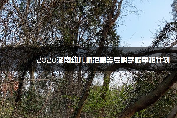 2020湖南幼儿师范高等专科学校单招计划及专业