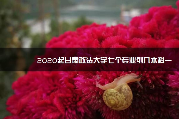 2020起甘肃政法大学七个专业列入本科一批招生