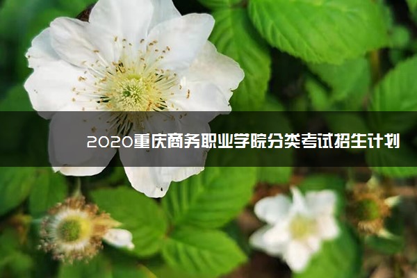 2020重庆商务职业学院分类考试招生计划及专业