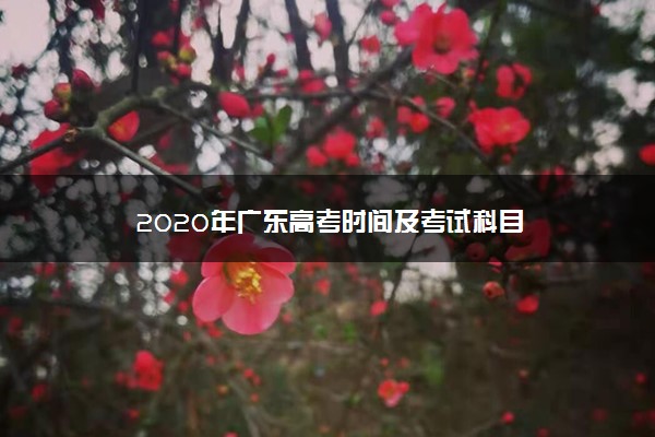 2020年广东高考时间及考试科目