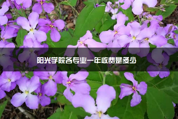 阳光学院各专业一年收费是多少