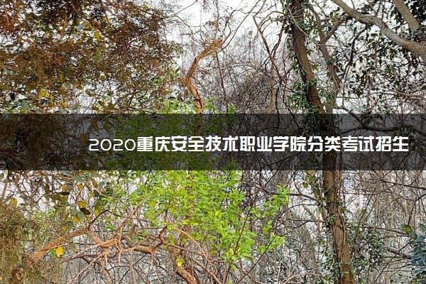 2020重庆安全技术职业学院分类考试招生计划及专业