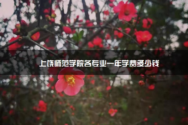 上饶师范学院各专业一年学费多少钱