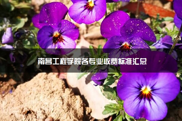 南昌工程学院各专业收费标准汇总