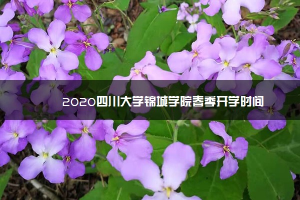2020四川大学锦城学院春季开学时间