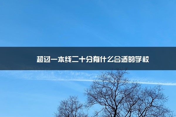 超过一本线二十分有什么合适的学校